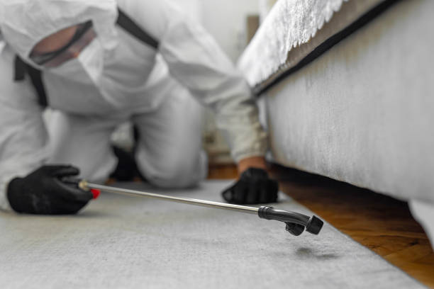 Professional Termite Control technician working in Potomac Heights, MD