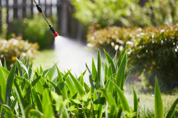 24/7 Emergency Termite Control experts in Potomac Heights, MD