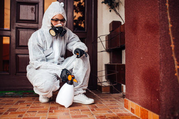 Reliable Termite Control contractor in Potomac Heights, MD by Nex Pest Control